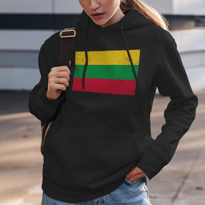 Ærø Flag Hoodie