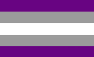 Abrosexual Pride Flag - 90x150cm(3x5ft) - 60x90cm(2x3ft) - LGBTQIA2S+