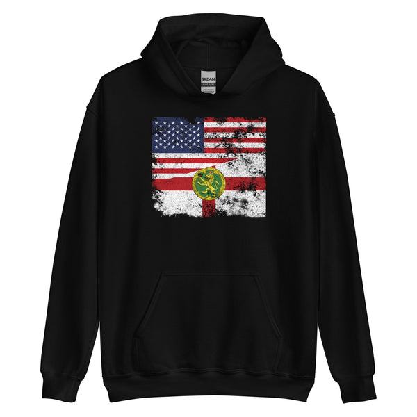 Alderney USA Flag Hoodie