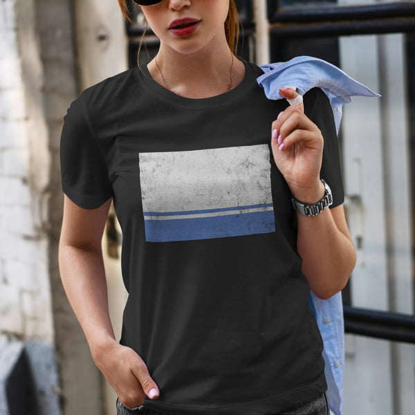 Altai Republic Flag T-Shirt