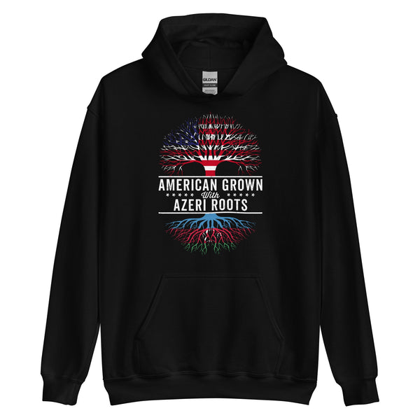 American Grown Azeri Roots Flag Hoodie