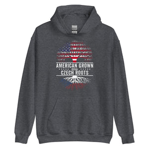 American Grown Czech Roots Flag Hoodie