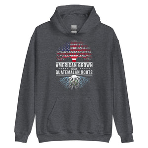 American Grown Guatemalan Roots Flag Hoodie