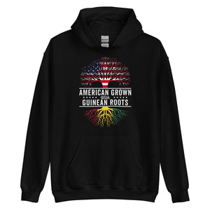 American Grown Guinean Roots Flag Hoodie