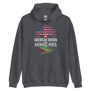 American Grown Guyanese Roots Flag Hoodie