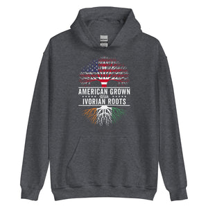 American Grown Ivorian Roots Flag Hoodie