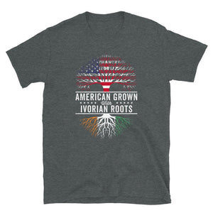 American Grown Ivorian Roots Flag T-Shirt