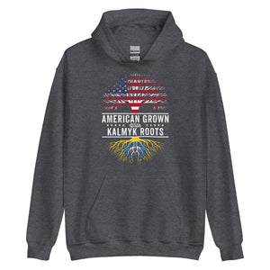 American Grown Kalmyk Roots Flag Hoodie