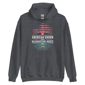 American Grown Kazakhstani Roots Flag Hoodie