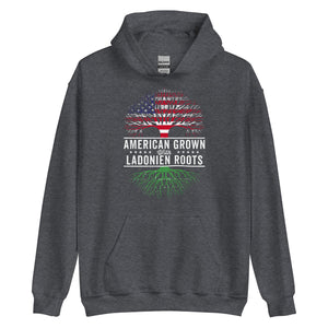 American Grown Ladonien Roots Flag Hoodie