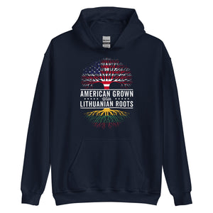 American Grown Lithuanian Roots Flag Hoodie