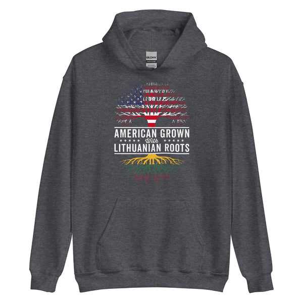 American Grown Lithuanian Roots Flag Hoodie