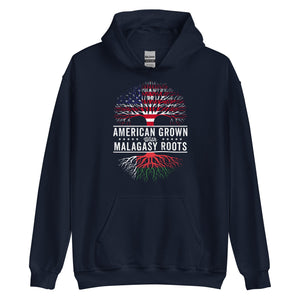 American Grown Malagasy Roots Flag Hoodie