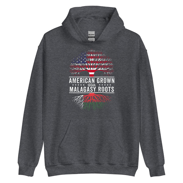 American Grown Malagasy Roots Flag Hoodie