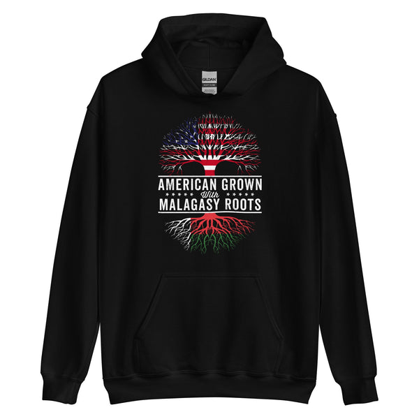 American Grown Malagasy Roots Flag Hoodie