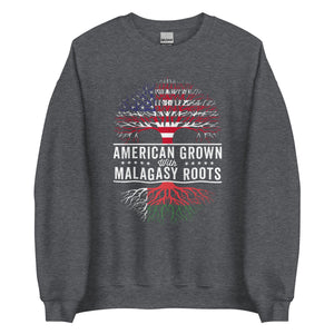 American Grown Malagasy Roots Flag Sweatshirt