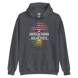 American Grown Malian Roots Flag Hoodie