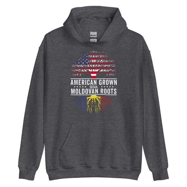 American Grown Moldovan Roots Flag Hoodie