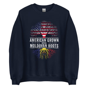 American Grown Moldovan Roots Flag Sweatshirt