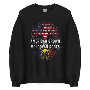 American Grown Moldovan Roots Flag Sweatshirt