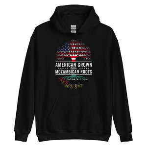 American Grown Mozambican Roots Flag Hoodie