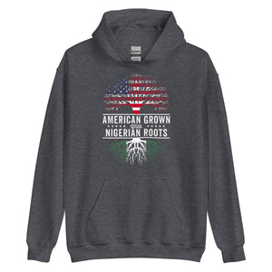 American Grown Nigerian Roots Flag Hoodie