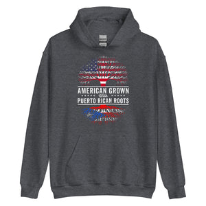 American Grown Puerto Rican Roots Flag Hoodie