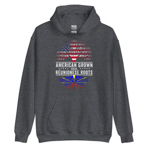 American Grown Réunionese Roots Flag Hoodie