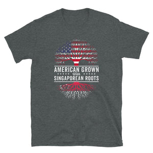 American Grown Singaporean Roots Flag T-Shirt