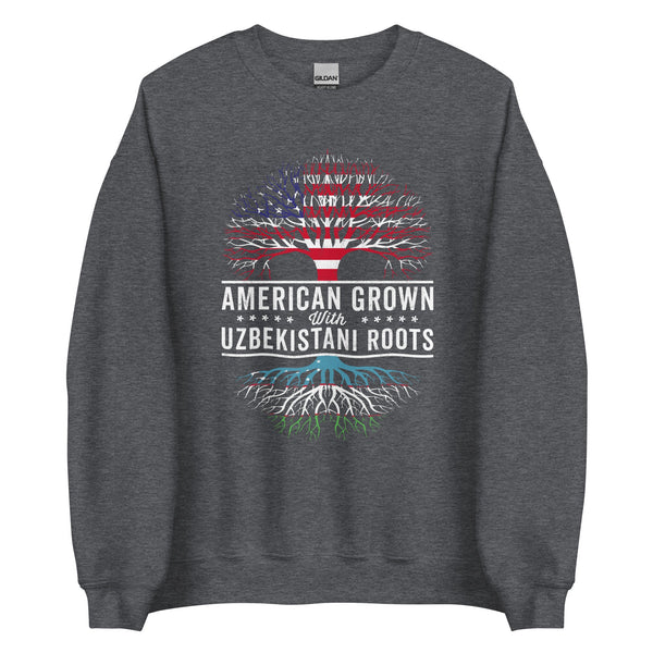 American Grown Uzbekistani Roots Flag Sweatshirt