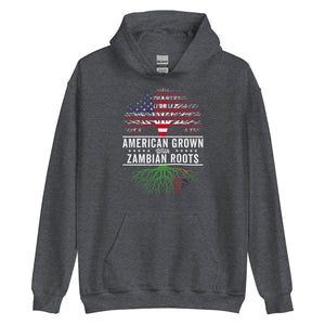 American Grown Zambian Roots Flag Hoodie