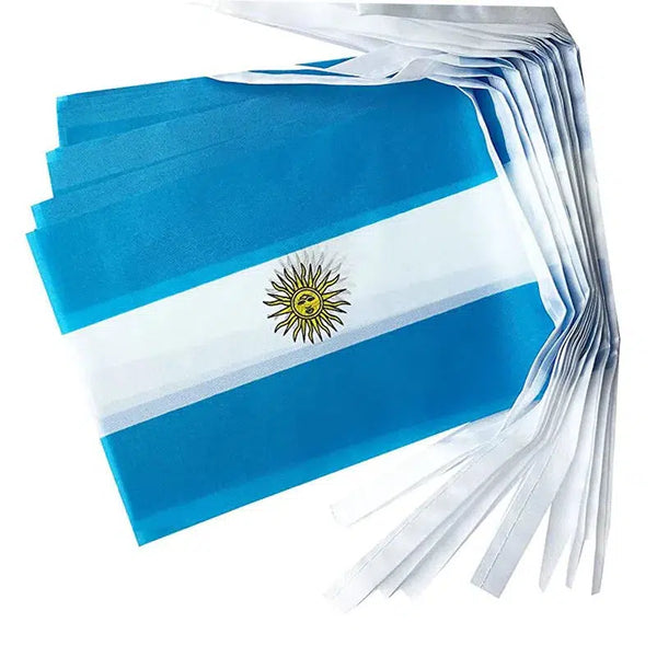 Argentina Flag Bunting Banner - 20Pcs
