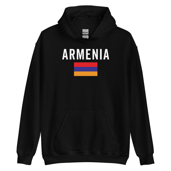 Armenia Flag Hoodie