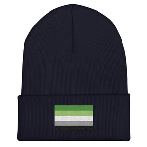 Aromantic Flag Beanie - Embroidered LGBT+ Winter Hat