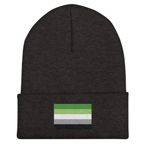 Aromantic Flag Beanie - Embroidered LGBT+ Winter Hat