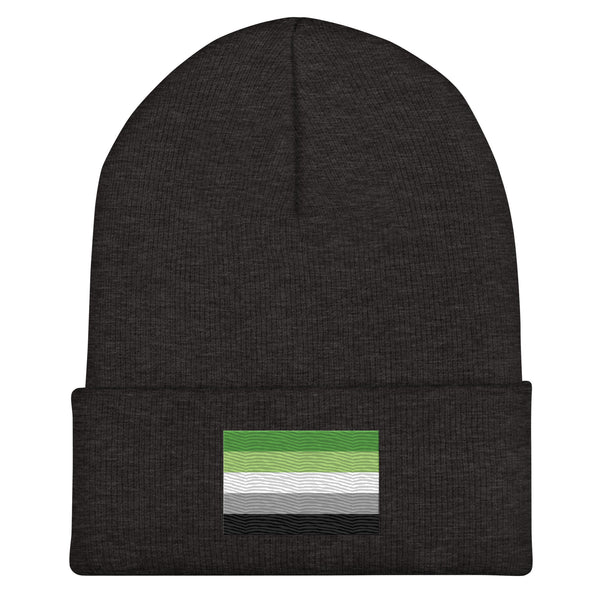 Aromantic Flag Beanie - Embroidered LGBT+ Winter Hat