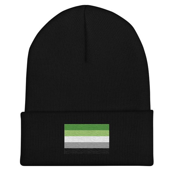 Aromantic Flag Beanie - Embroidered LGBT+ Winter Hat
