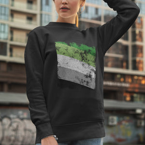 Aromantic Flag - Distressed LGBT+ Sweatshirt
