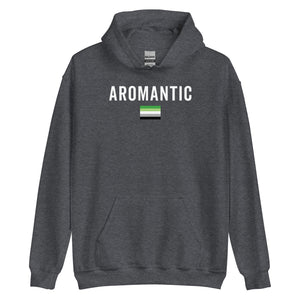 Aromantic Flag - LGBT+ Hoodie