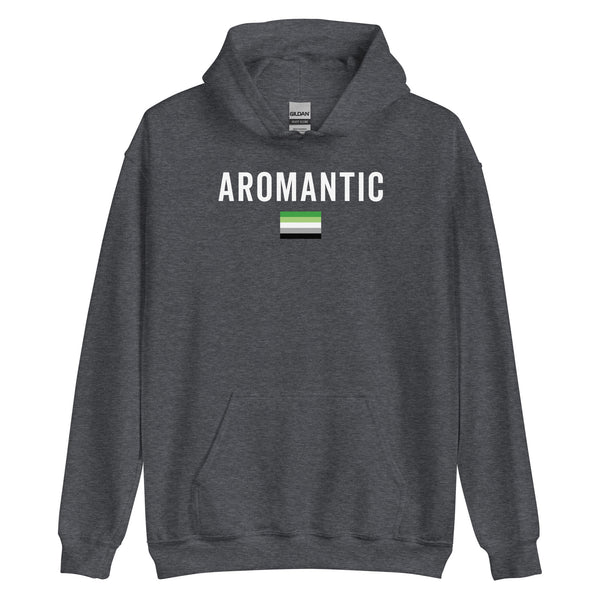 Aromantic Flag - LGBT+ Hoodie