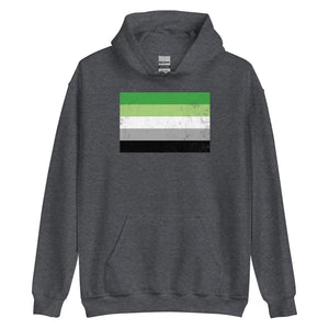 Aromantic Flag - LGBT+ Hoodie