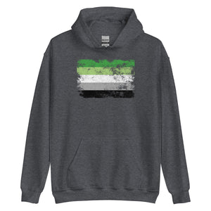 Aromantic Flag - LGBT+ Hoodie