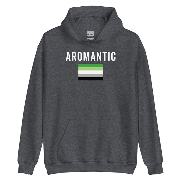 Aromantic Flag - LGBT+ Hoodie