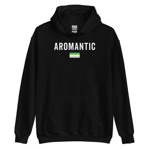 Aromantic Flag - LGBT+ Hoodie