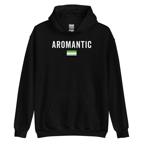 Aromantic Flag - LGBT+ Hoodie