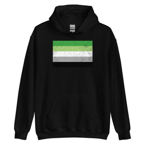 Aromantic Flag - LGBT+ Hoodie