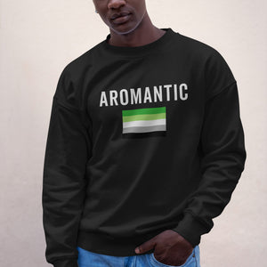 Aromantic Flag - LGBT+ Sweatshirt