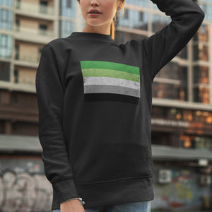 Aromantic Flag - LGBT+ Sweatshirt