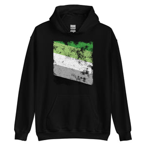 Aromantic Flag - Distressed LGBT+ Hoodie