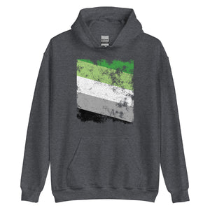 Aromantic Flag - Distressed LGBT+ Hoodie